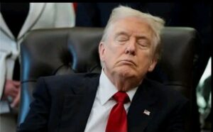 TỔNG THỐNG DONALD TRUMP NGỦ GẬT TẠI PHÒNG BẦU DỤC 5 1